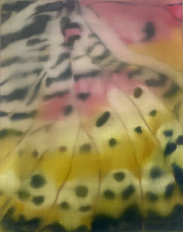 Dream within a Dream