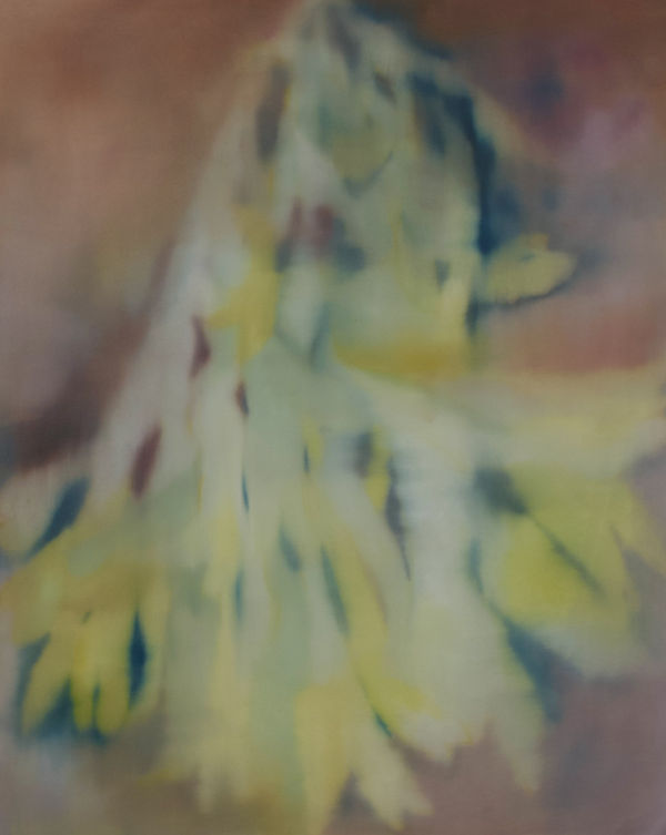 Becoming Visible, 2024