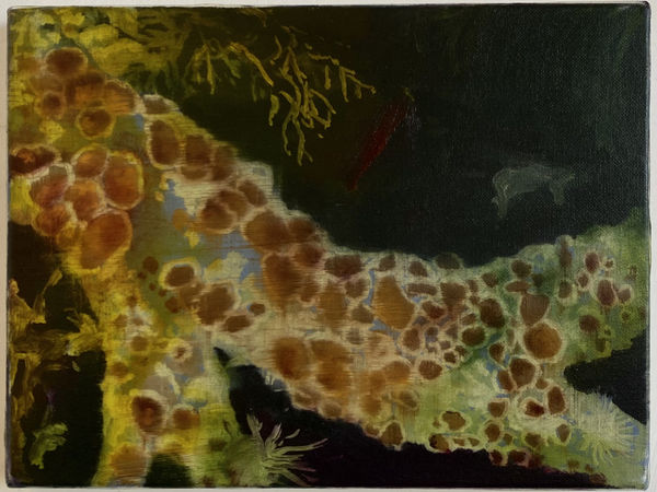 Branching Lichen, 2023