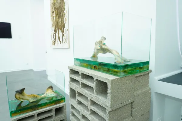 Mahdi Baraghithi Galerie La La Lande 08