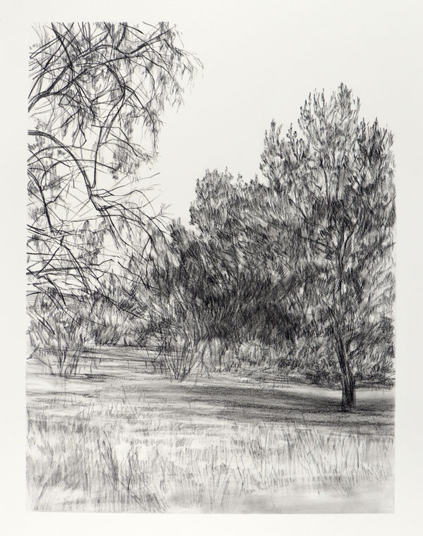 Melanie Taylor, Borderland 10