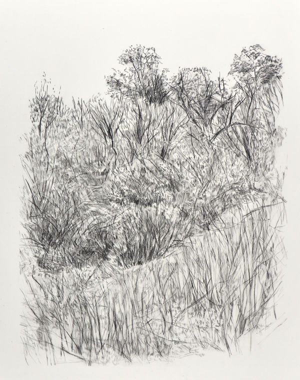 Melanie Taylor, Borderland 2