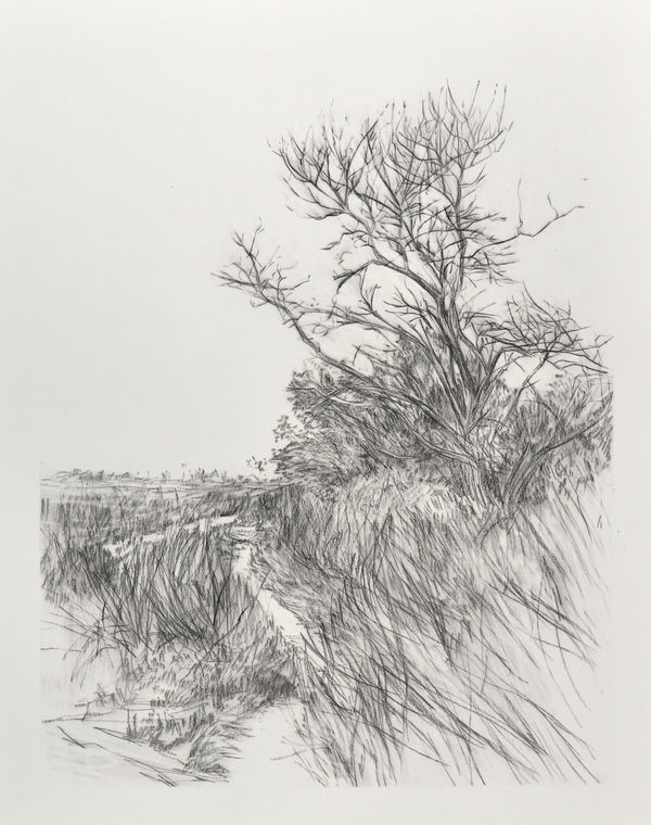 Melanie Taylor, Borderland 5