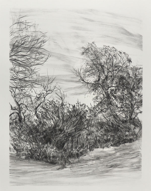 Melanie Taylor, Borderland 3