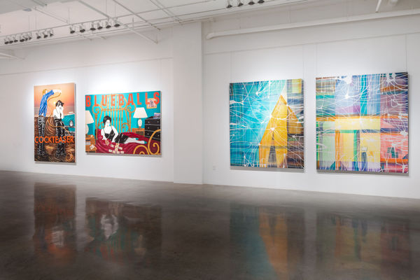 12 Web Or Mls Thewall Hologram Installation Photos Dsc05363