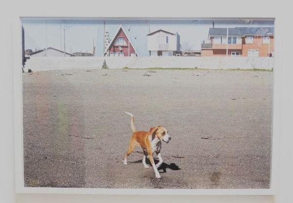 Luiza Baldan, Untitled (da série Leituras de um lugar valioso), 2012