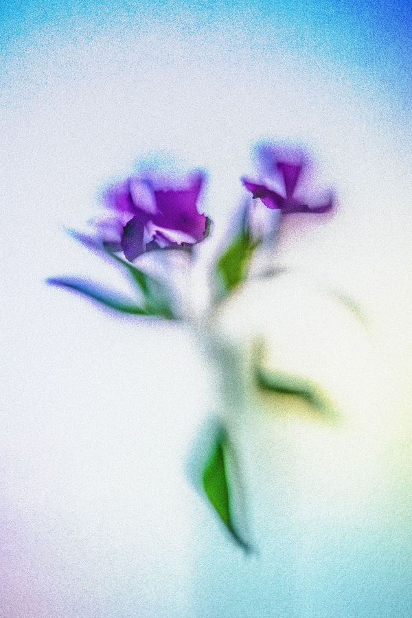 Revealed series number one Steve Gallagher