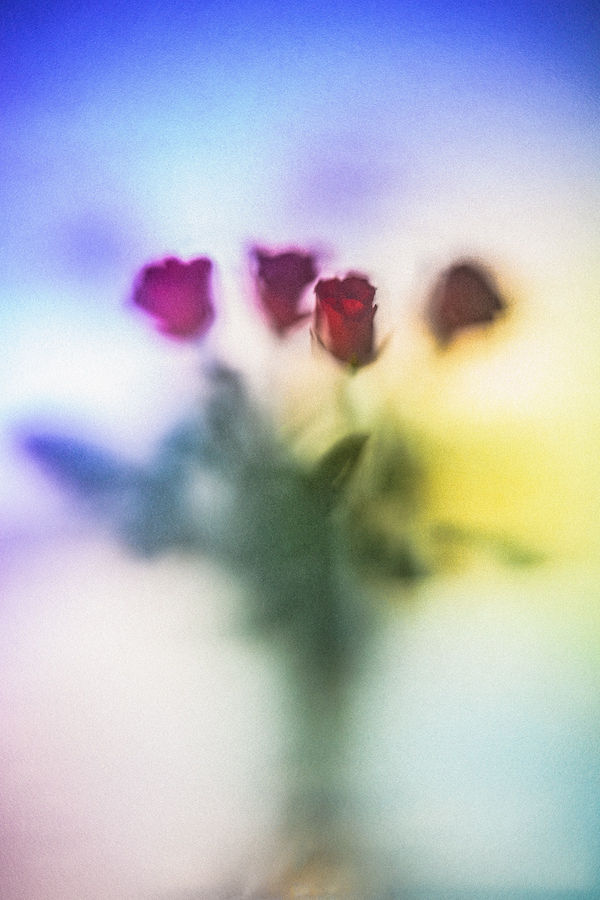 Revealed series number two Steve Gallagher