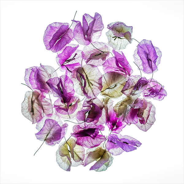 The Other Art Fair | London