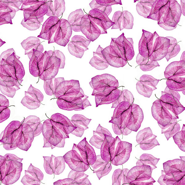 Floral petals Steve Gallagher