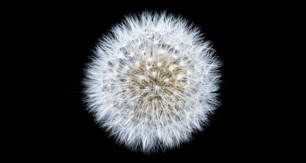 The Other Art Fair | London The Truman Brewery