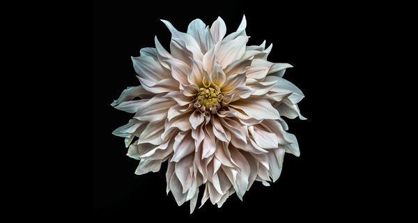 Natural Beauty Oxmarket Contemporary, St. Andrew’s Court, off East Street, Chichester, West Sussex PO19 1YH