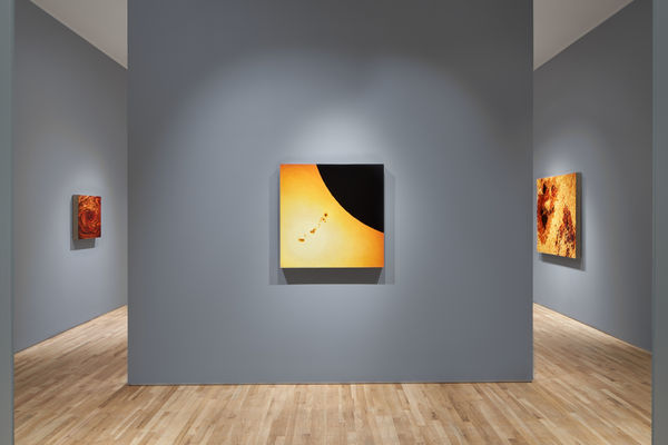 Copy Of Copy Of Loeb Inst Pa 20210602 V019 High Resolution 300 Dpi