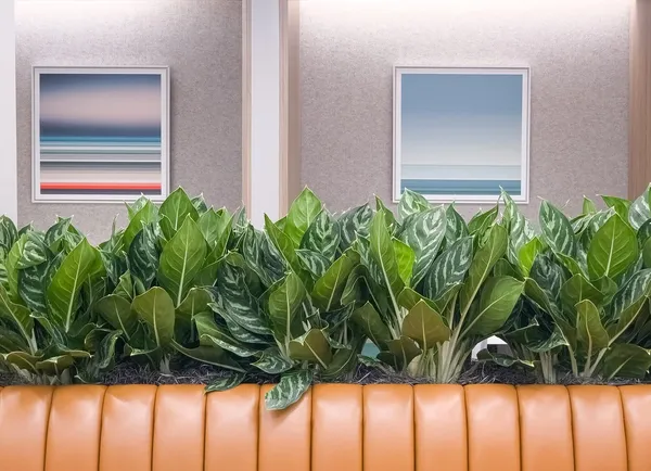 412Bce8C B88A 448D 8783 A9A3500F5Cb0