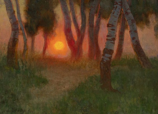 Sunset in a Wooded Landscape