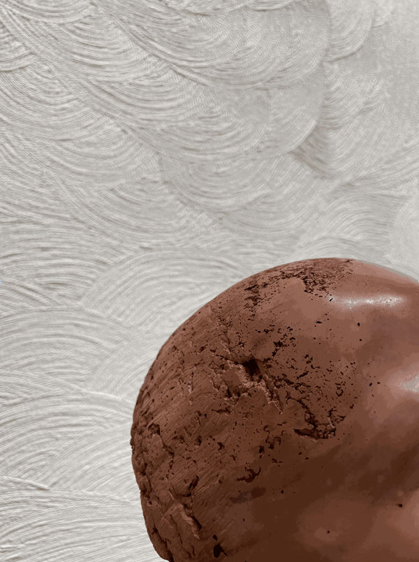 Screen Shot 2024 01 31 At 2 15 13 Pm