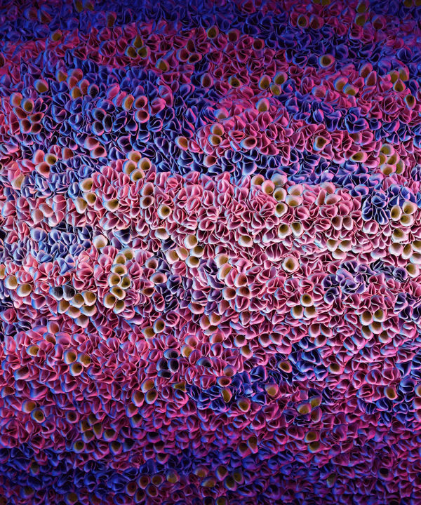 Zhuang Hong Yi | 'Spectral Serenade' GLR Toronto | Solo Exhibition