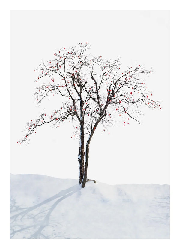 김광수 : Fantastic reality