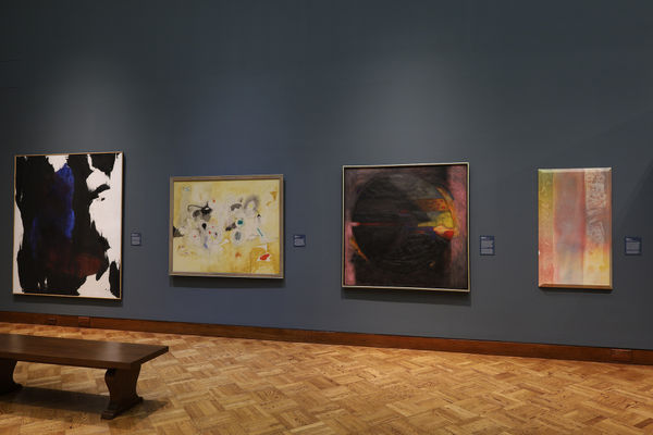 &copy; photo John Seyfried / Allen Memorial Art Museum