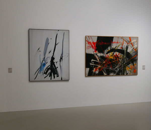 © Photo Steve Gavard - Reproduction interdite sans autorisation