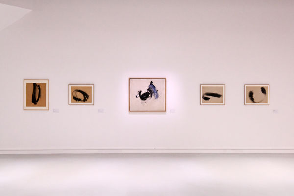 © photo Cathy Christiaen / Ville de Dunkerque