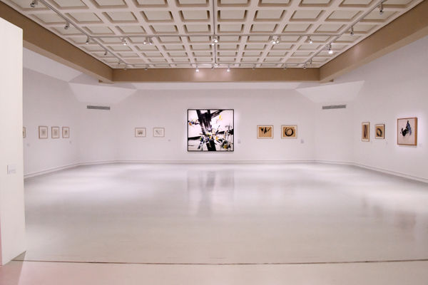 © photo Cathy Christiaen / Ville de Dunkerque