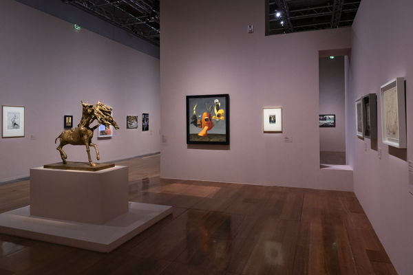 &copy; Photo Anthony Voisin / BnF