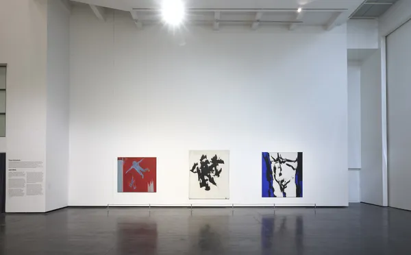 © photo Damien Aspe / Les Abattoirs Toulouse