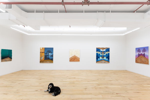 Dimin Stephen Thorpe Dream House 2024 25