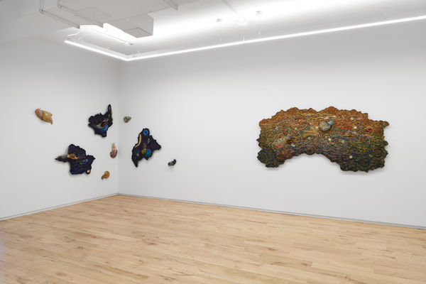 2025 1212 Dimin 10 2000Px