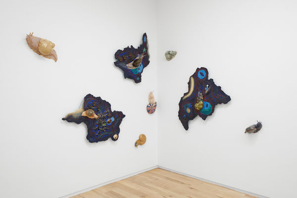 2025 1212 Dimin 4 Fullsize 2