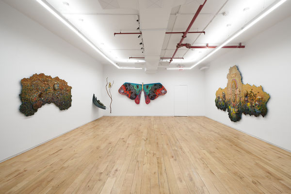 2025 1212 Dimin 5 2000Px