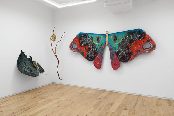 2025 1212 Dimin 7 2000Px