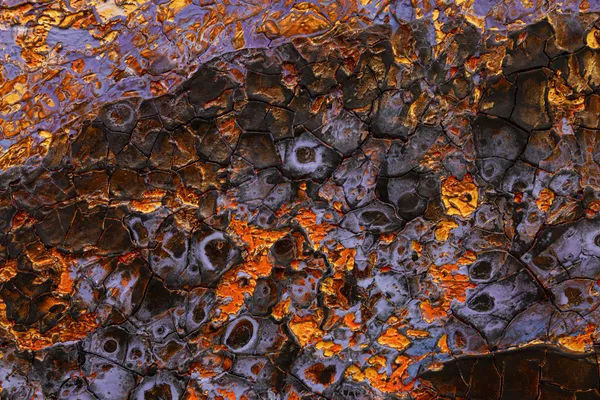 Brennen Steines 028 Shifting Horizon 2026 8