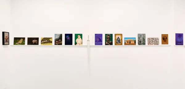 Panel Installation 1 Crop