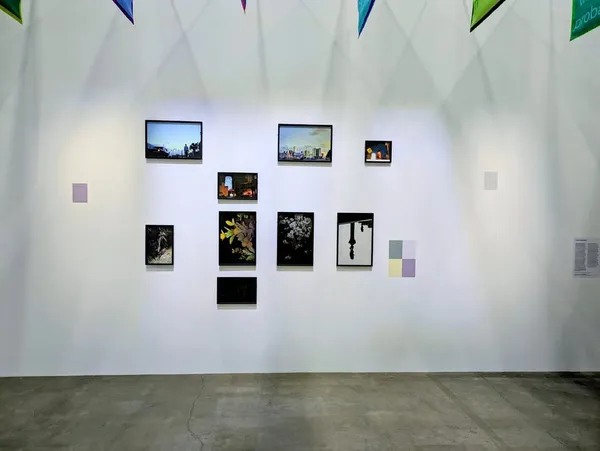 Adler Guerrier ECHO DELAY REVERB, Art américain, pensées francophones - Palais de Tokyo, Paris
