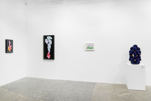 Duranmashaaljanvier2023 6 Of 36