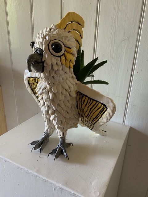 Kaye Clancy, Claudia Sulphur Crested Cockatoo