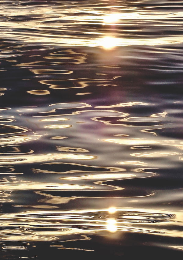 Anne Spudvilas, Black Gold