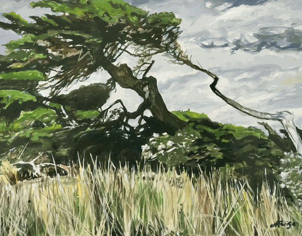 Jo Reitze, Resilience, 2020