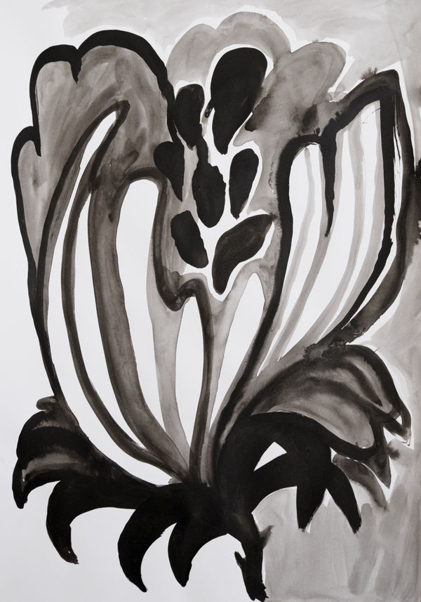 Anna Deller-Yee, Shadow 4, 2025