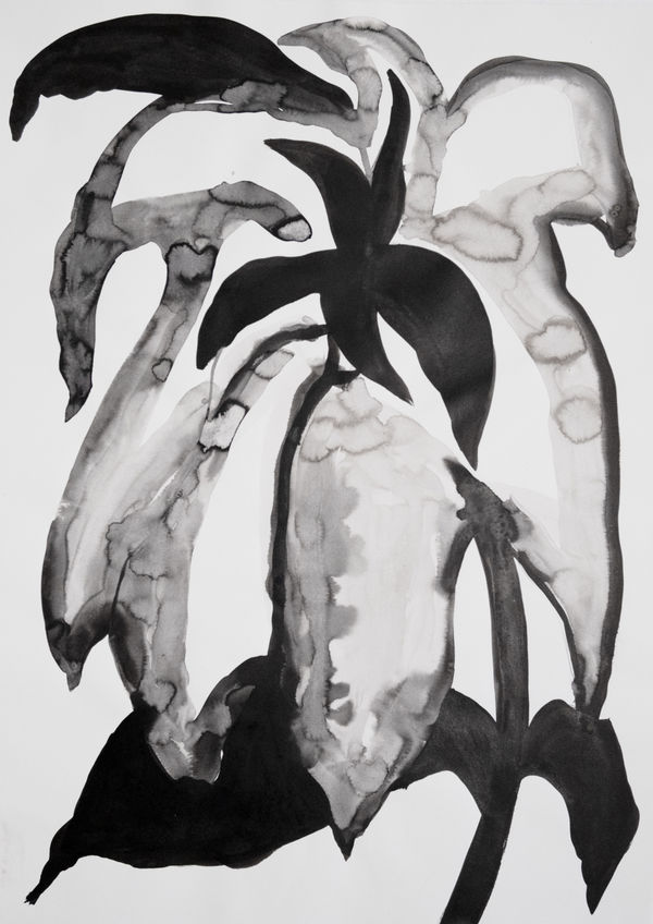 Shadow 6, 2023 59.4 x 84.1 cm