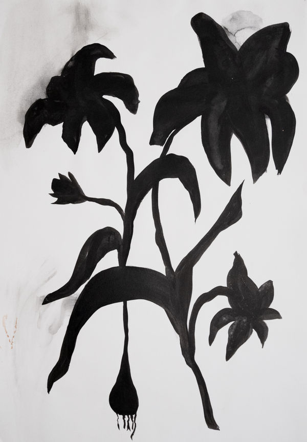 Shadow 2, 2023 59.4 x 84.1 cm