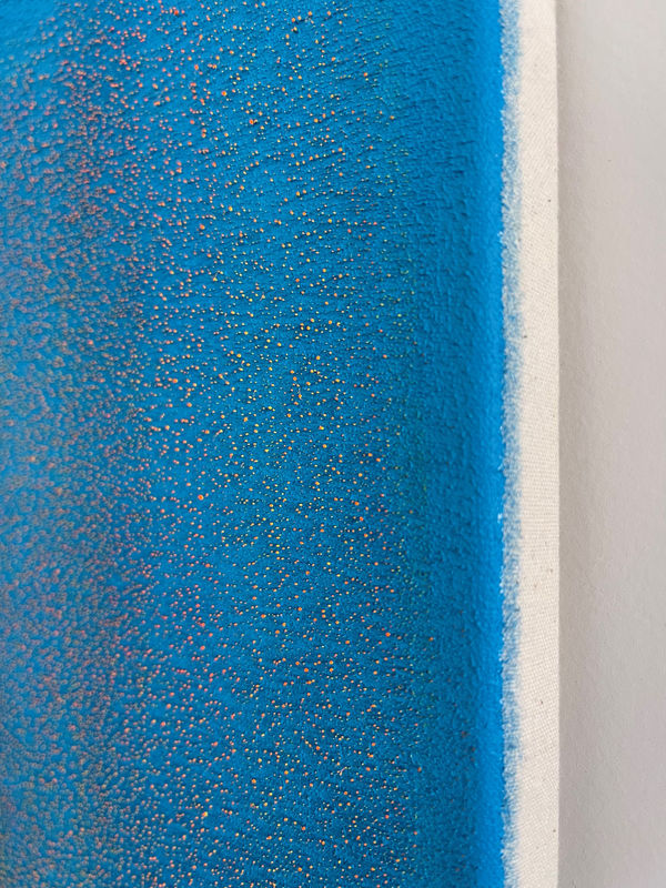 Sander Reijgers Detail Mpv Gallery Blauw