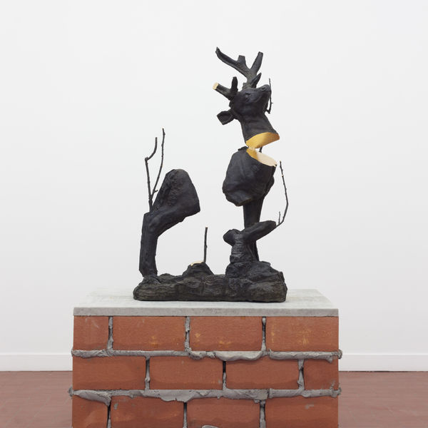 Stief Desmet - Athena Noctua (Minot I), 2024