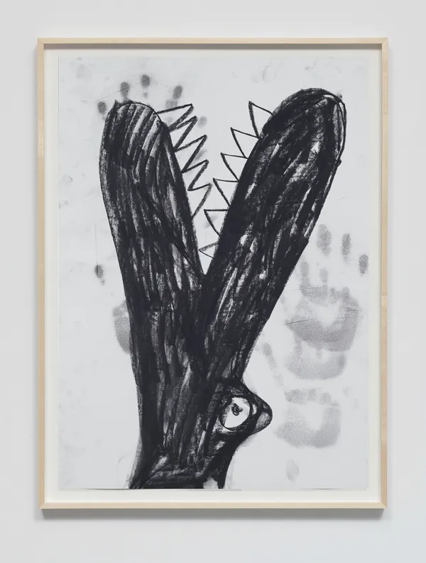 Cameron Platter - Donuts, 2026