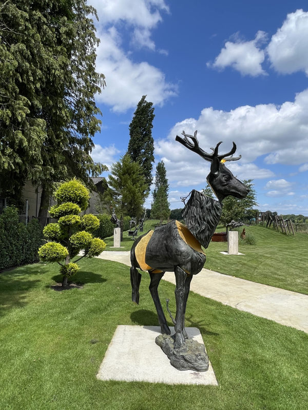 Stief Desmet, Cervus vitalis