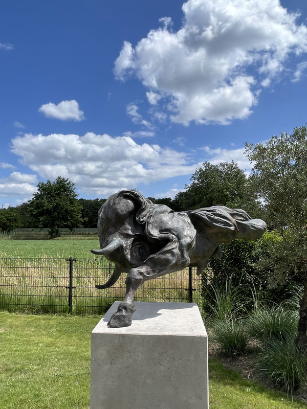 Paul Ceulemans , Toro