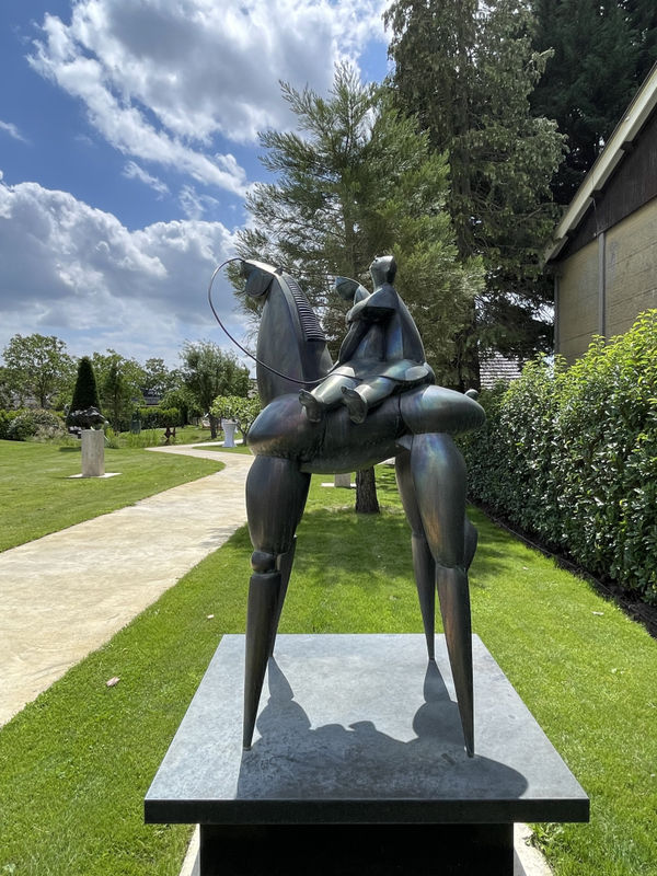 Willem Lenssinck, A horse called desire