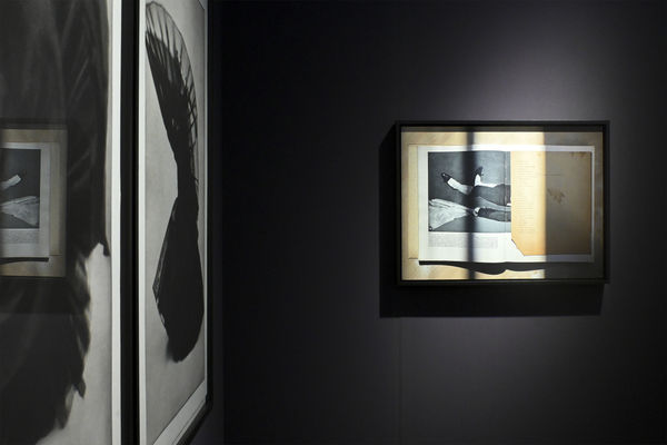 Bildhalle Pan 2025 11